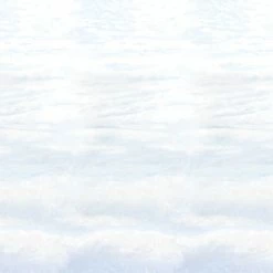 SNOWSCAPE BACKDROP