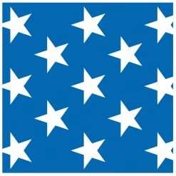 PATRIOTIC STARS BACKDROP