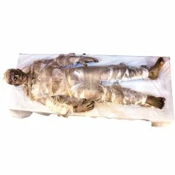 IT LIVES! FRIGHTRONICS