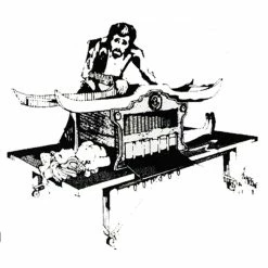 SHRED HER ILLUSION PLANS