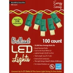 HOLIDAY LIGHTS 100L M5 WRM WT