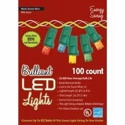 HOLIDAY LIGHTS 100L M5 MU