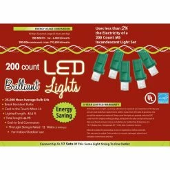 HOLIDAY LIGHTS 200L M5 PURE WT