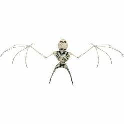 BAT SKELETON